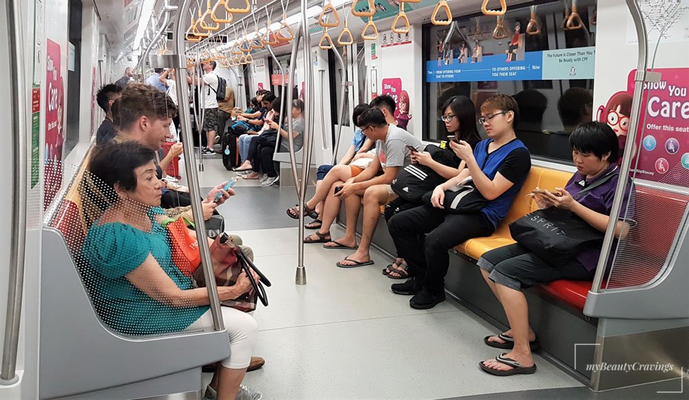 Authentic Singapore Experiences PIN