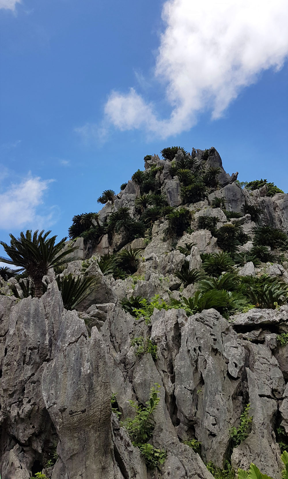 Daisekirinzan Monkey King Rocks