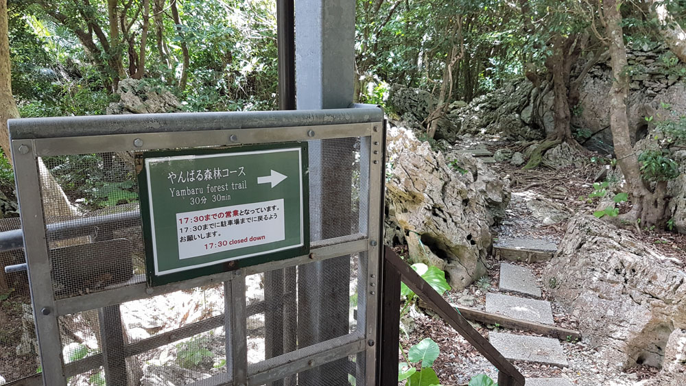 Daisekirinzan Subtropical Forest Trail