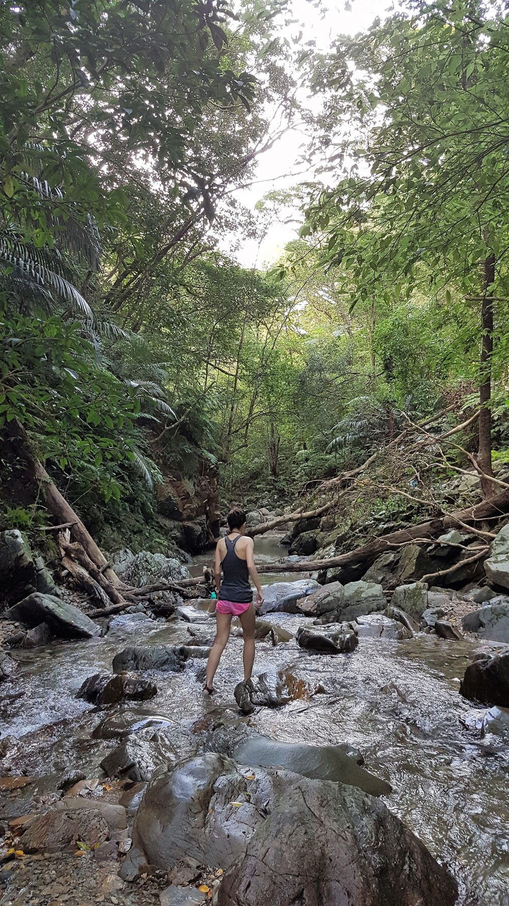 Ta-Taki Falls