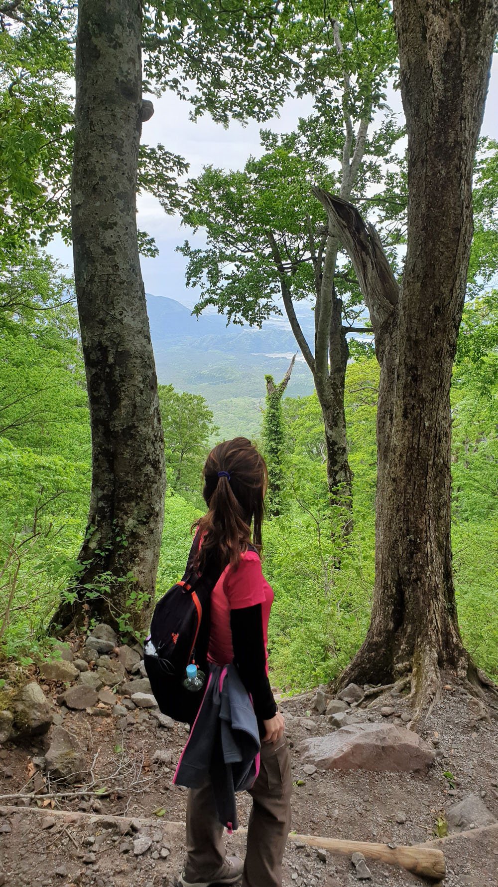 Mount Daisen Hike