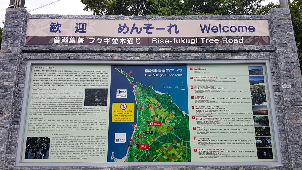 Bise Fukugi Tree Road