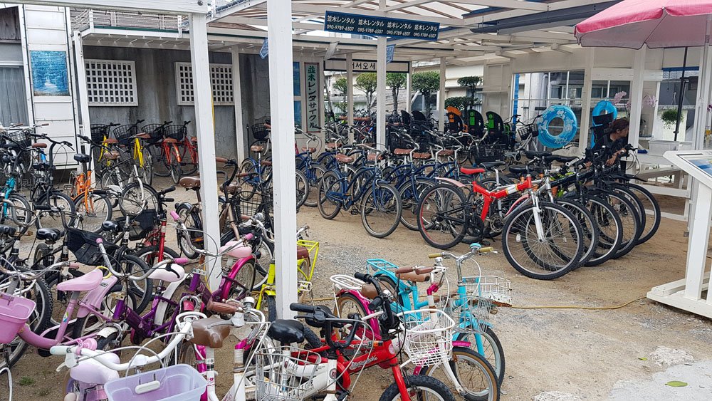 Bise Fukugi Bicycle Rental