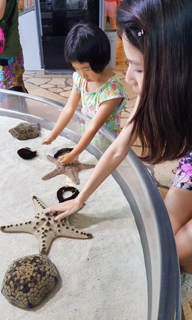 Okinawa Chuarumi Aquarium