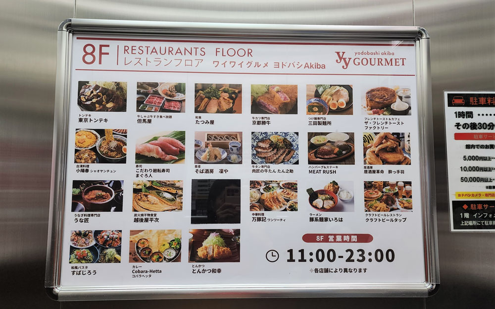 Food in Akihabara