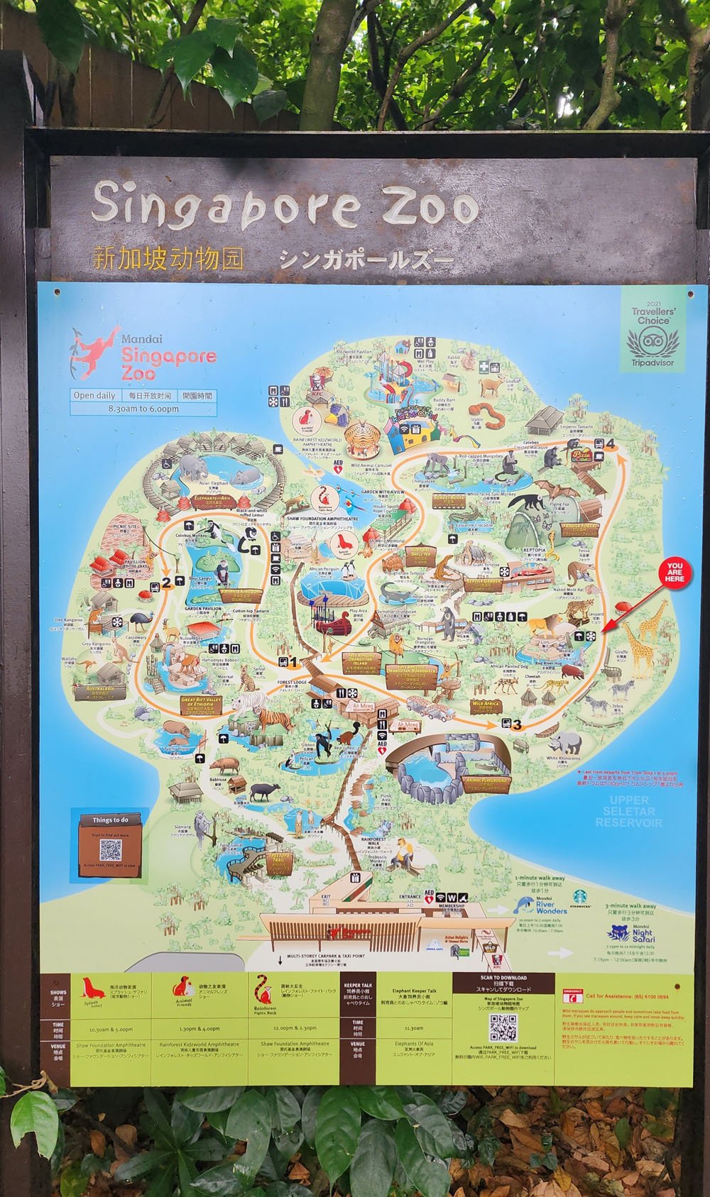 Is Singapore Zoo Worth Going Honest View From A Local 20230723 133546 1000 